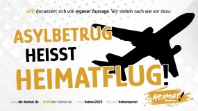 asylbetrugheimatflug