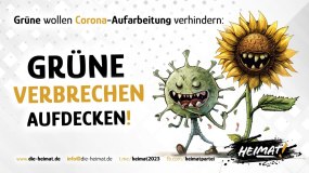 grueneverbrechenaufdecken
