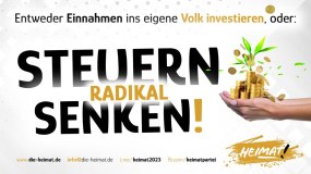 steuernsenken