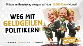 wegmitgeldgeilenpolitikern