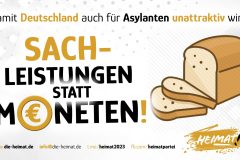 Grafik_Sachleistung-scaled