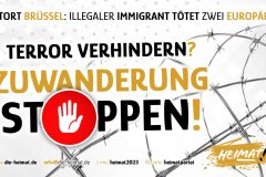 Grafik_zuwanderung-stoppen-scaled