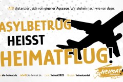 asylbetrugheimatflug
