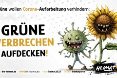 grueneverbrechenaufdecken