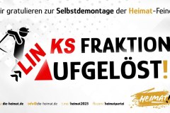 linksfraktion
