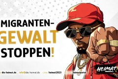 migrantengewaltstoppen