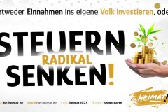 steuernsenken