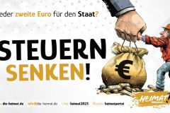 steuernsenken