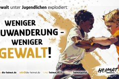 wenigerzuwanderungwenigergewalt