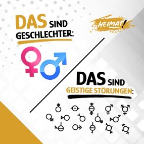 Das sind Geschlechter vs das sicnd Geistesstörungen