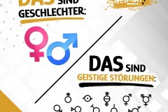 Das sind Geschlechter vs das sicnd Geistesstörungen