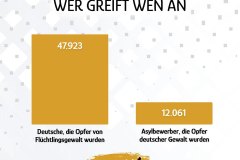 Statistik_Fluechtlingsgewalt
