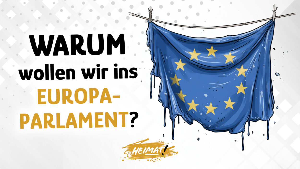 Warum wir ins Europaparlament wollen, Europawahl