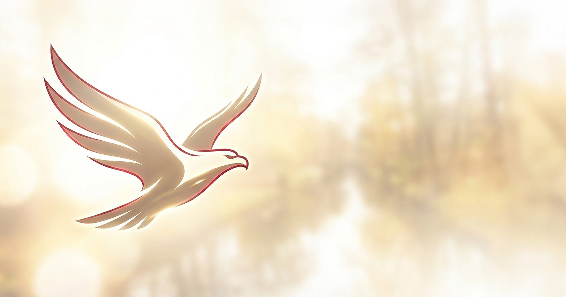 Moderner stilisierter Adler mit dezentem roten Akzent links, im Hintergrund eine neblige Spreewald-Fließlandschaft.